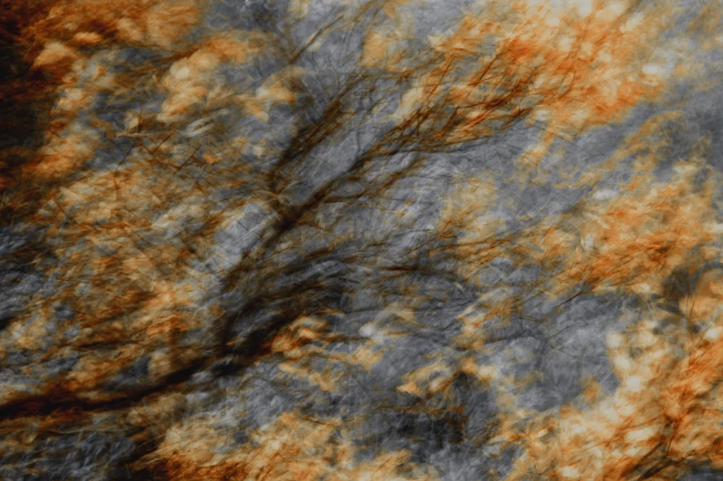 foret-enchantee-1912