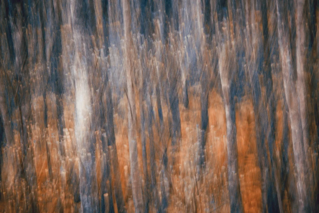 foret-enchantee-1913