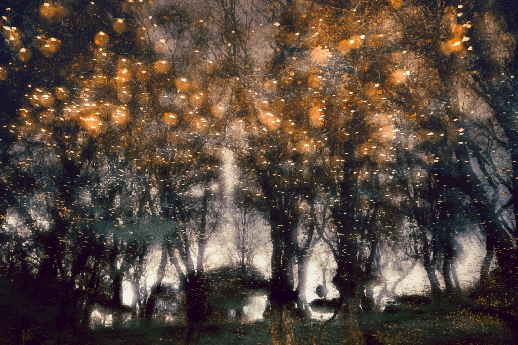 foret-enchantee-1946