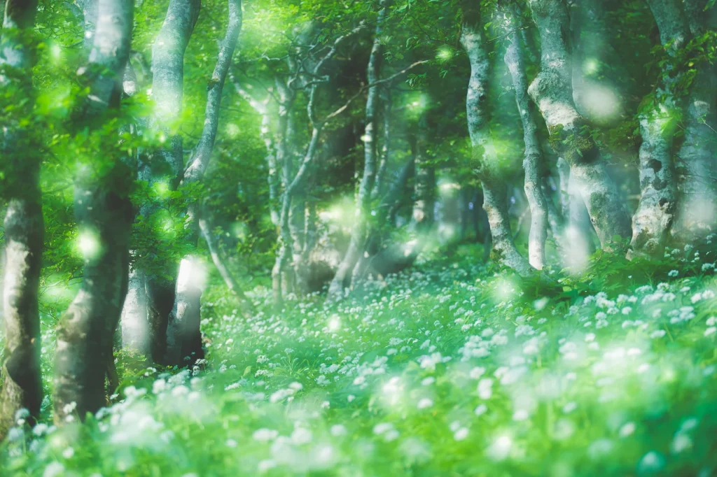 foret-enchantee-1947