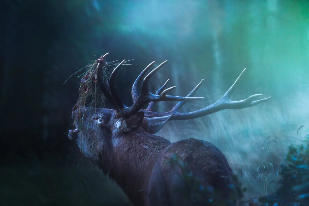 foret-enchantee-1953