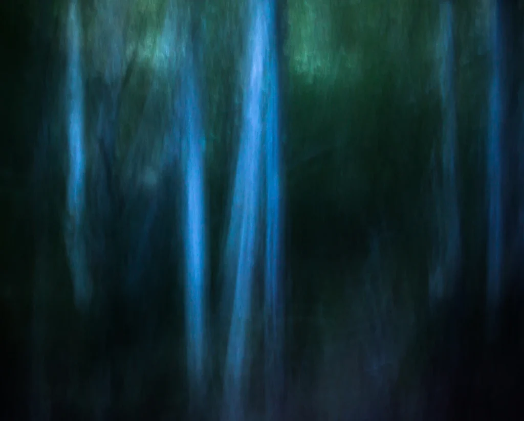 foret-enchantee-1956