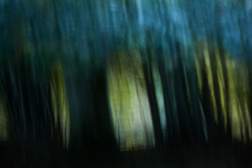 foret-enchantee-1957