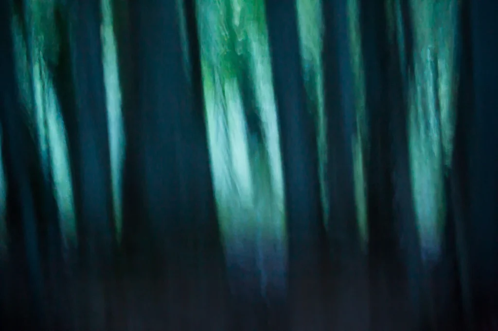 foret-enchantee-1958