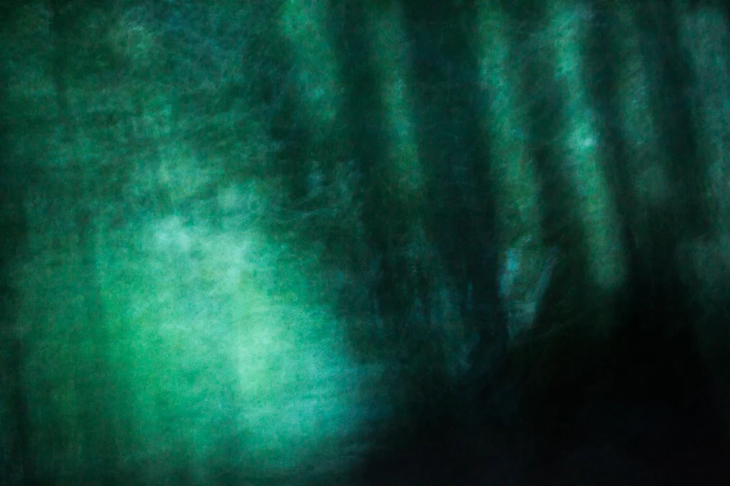 foret-enchantee-1959