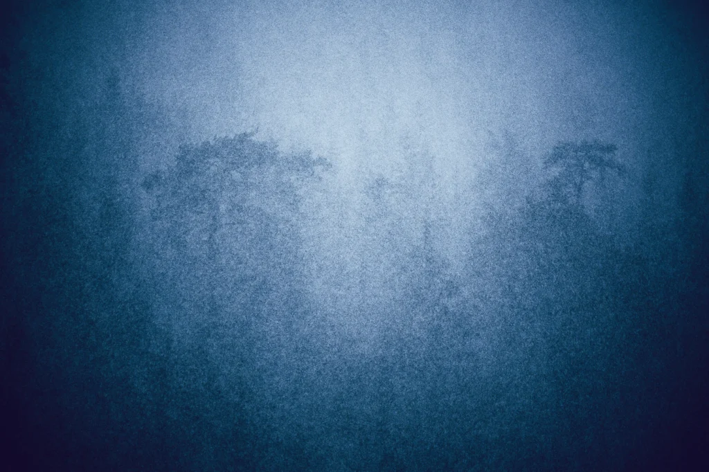 foret-enchantee-1961