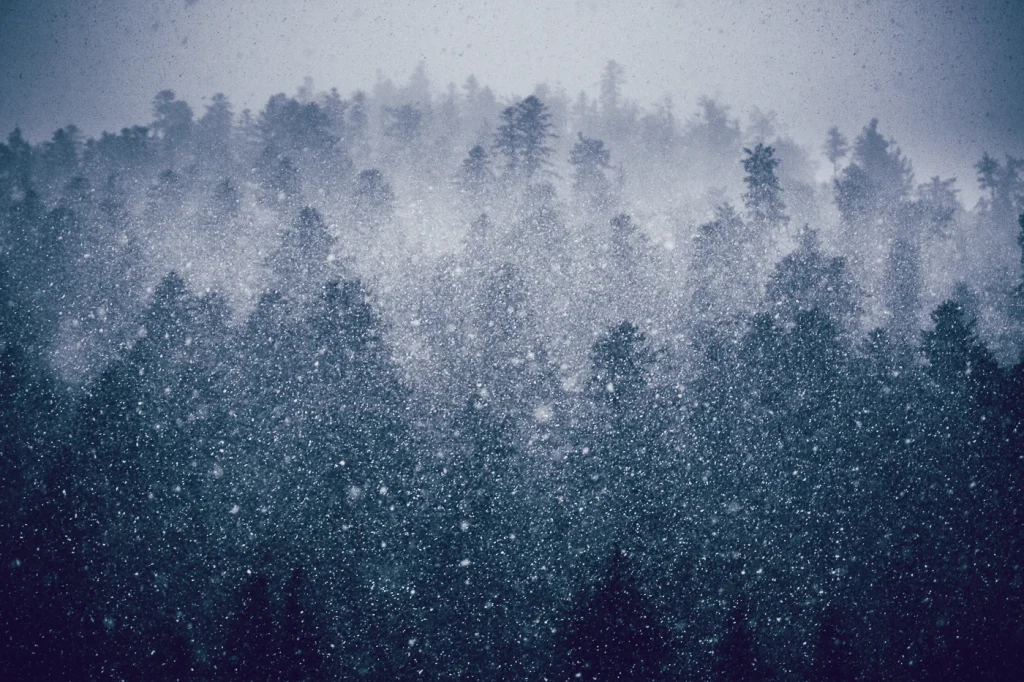 foret-enchantee-1964