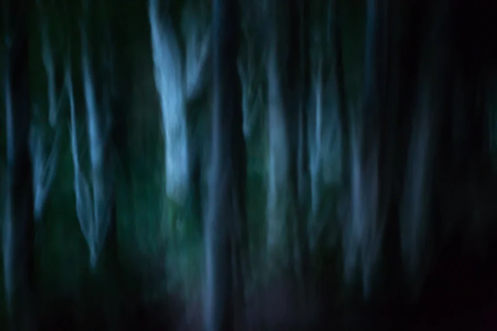 foret-enchantee-1968