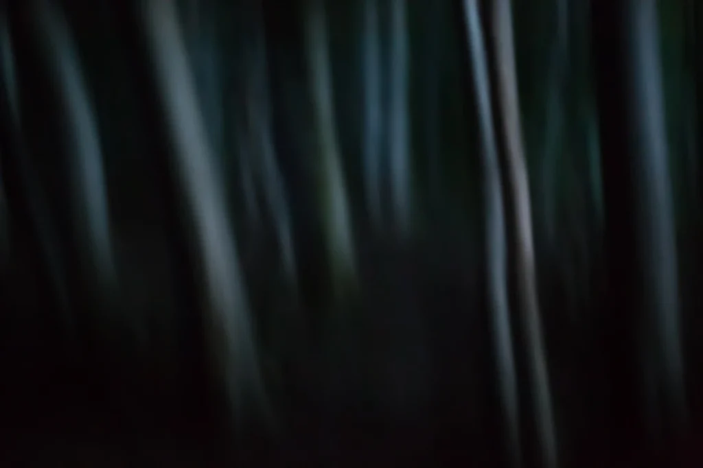 foret-enchantee-1969