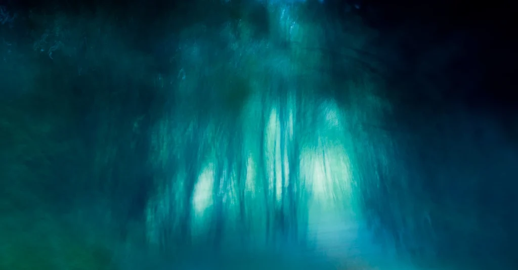 foret-enchantee-1974