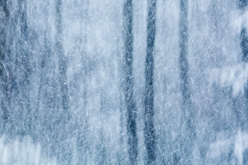 foret-enchantee-1984