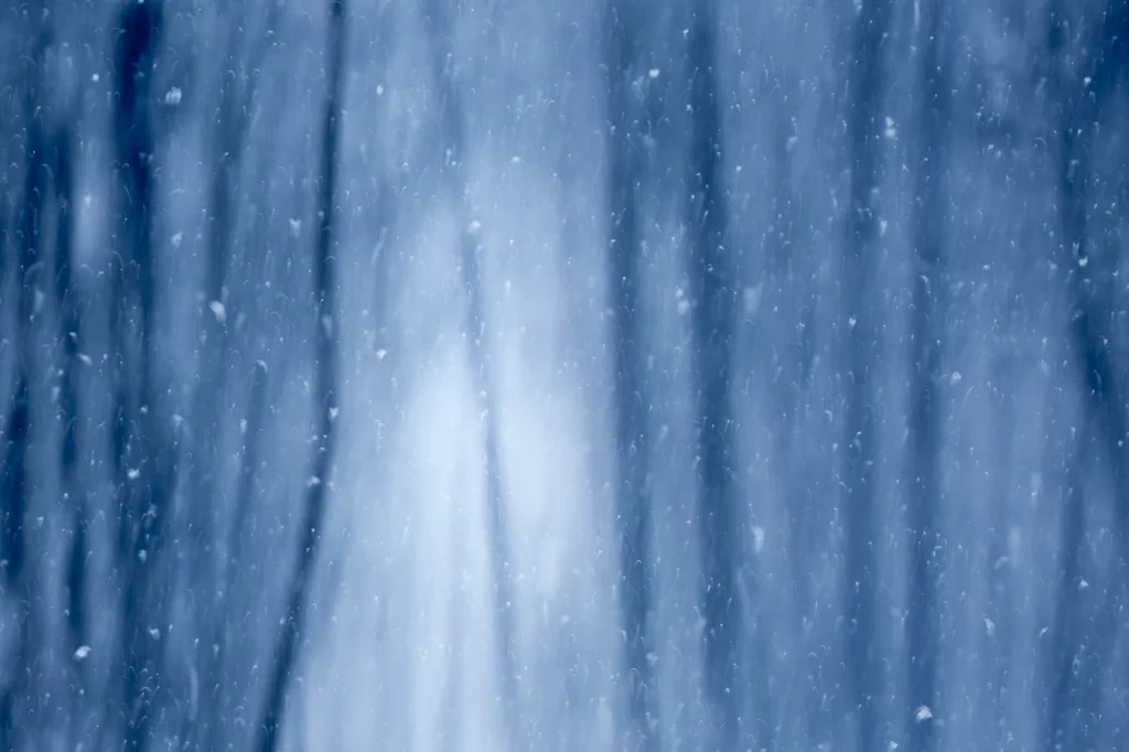 foret-enchantee-1985