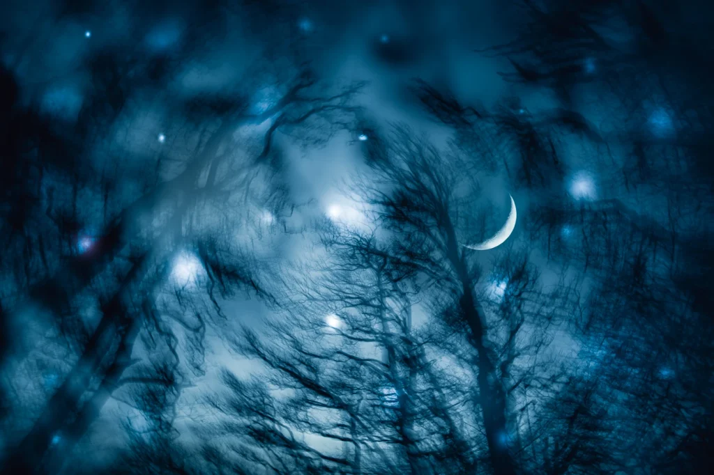 foret-enchantee-1986