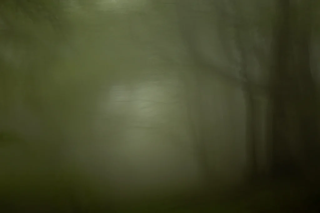 foret-enchantee-2006