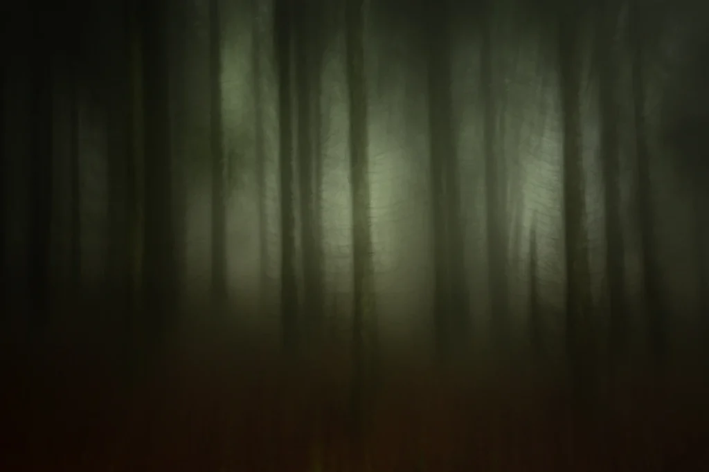 foret-enchantee-2007