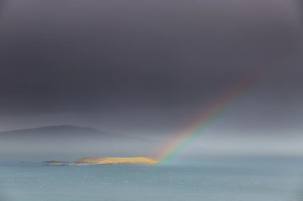 harris-and-lewis-sejour-2529