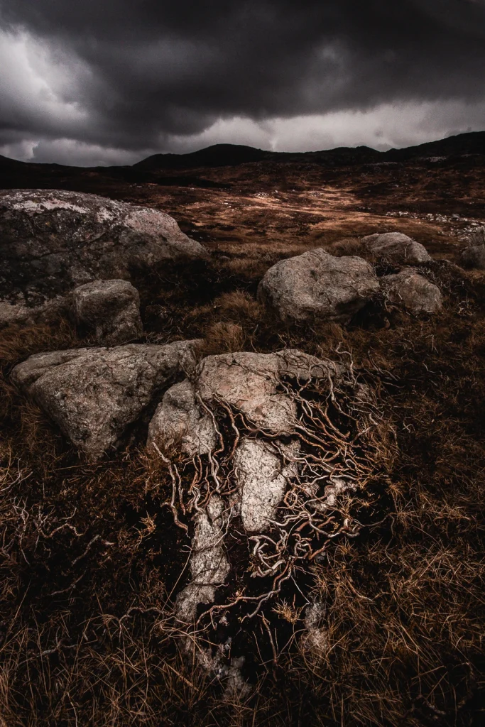 harris-and-lewis-sejour-2545