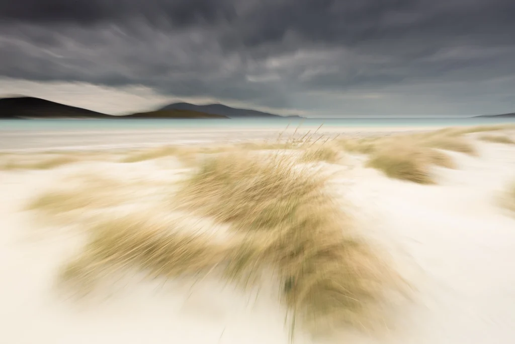 harris-and-lewis-sejour-2560