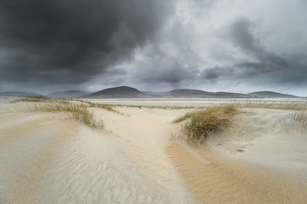 harris-and-lewis-sejour-2568