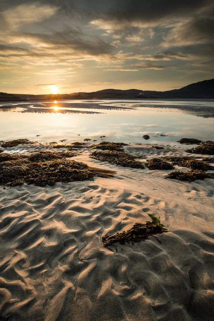 harris-and-lewis-sejour-2571