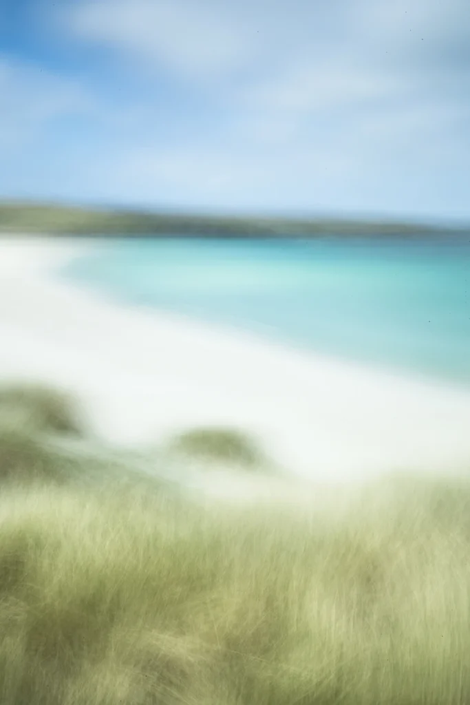 harris-and-lewis-sejour-2577