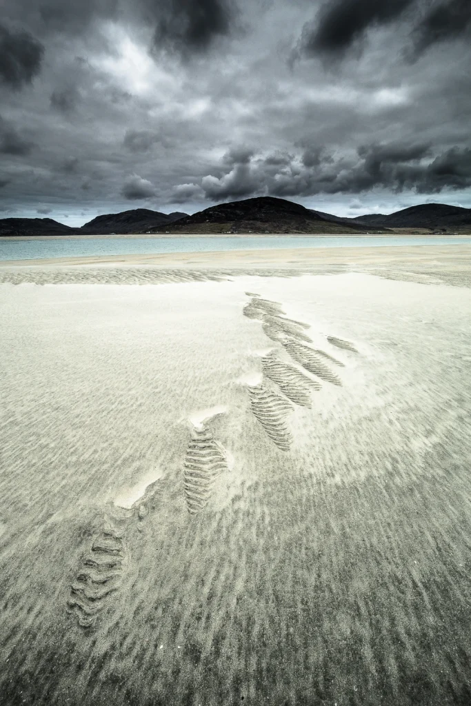 harris-and-lewis-sejour-2579