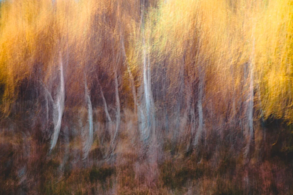 into-the-highlands-3210