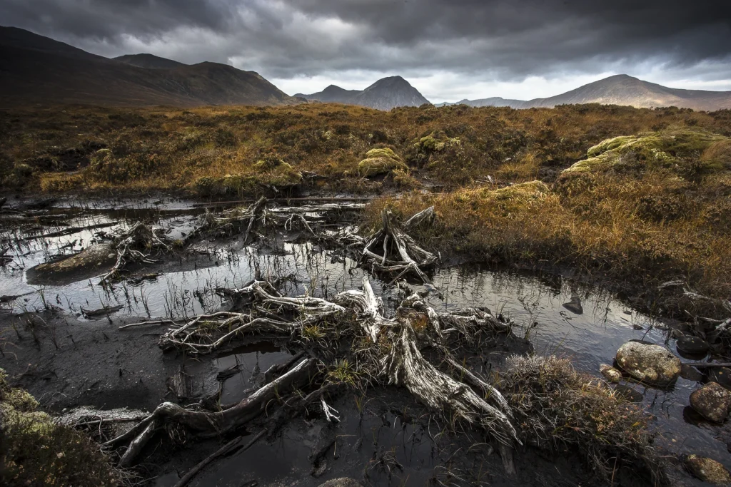 into-the-highlands-3217