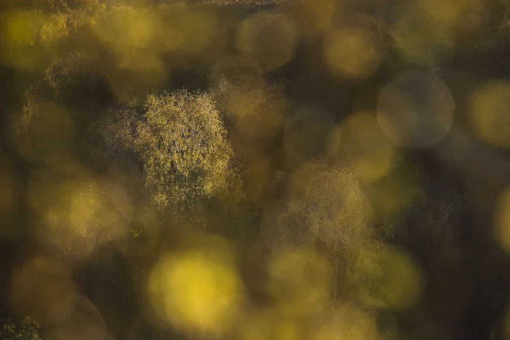 into-the-highlands-3219