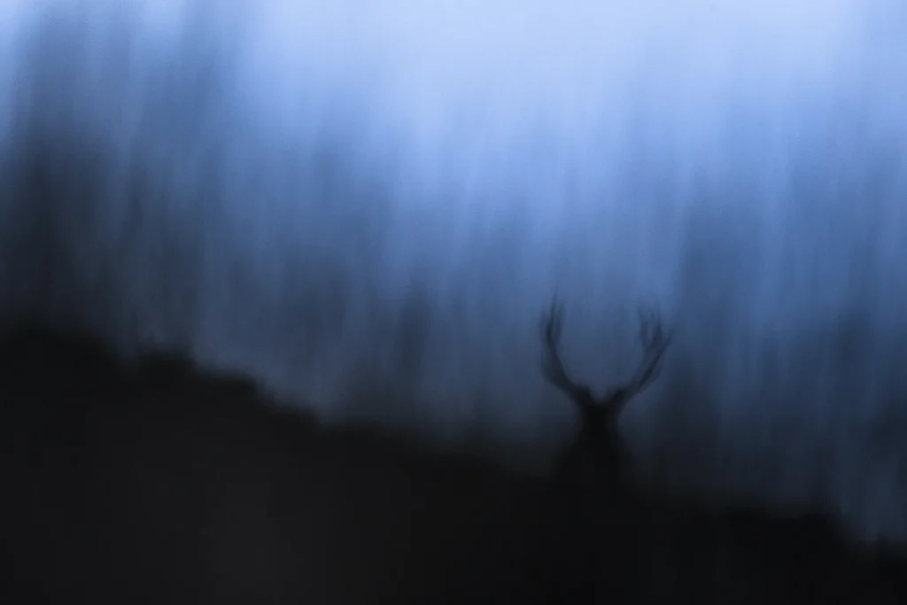 into-the-highlands-3220