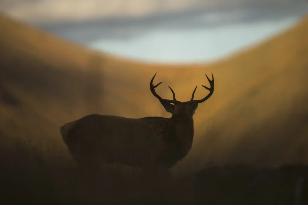 into-the-highlands-3335