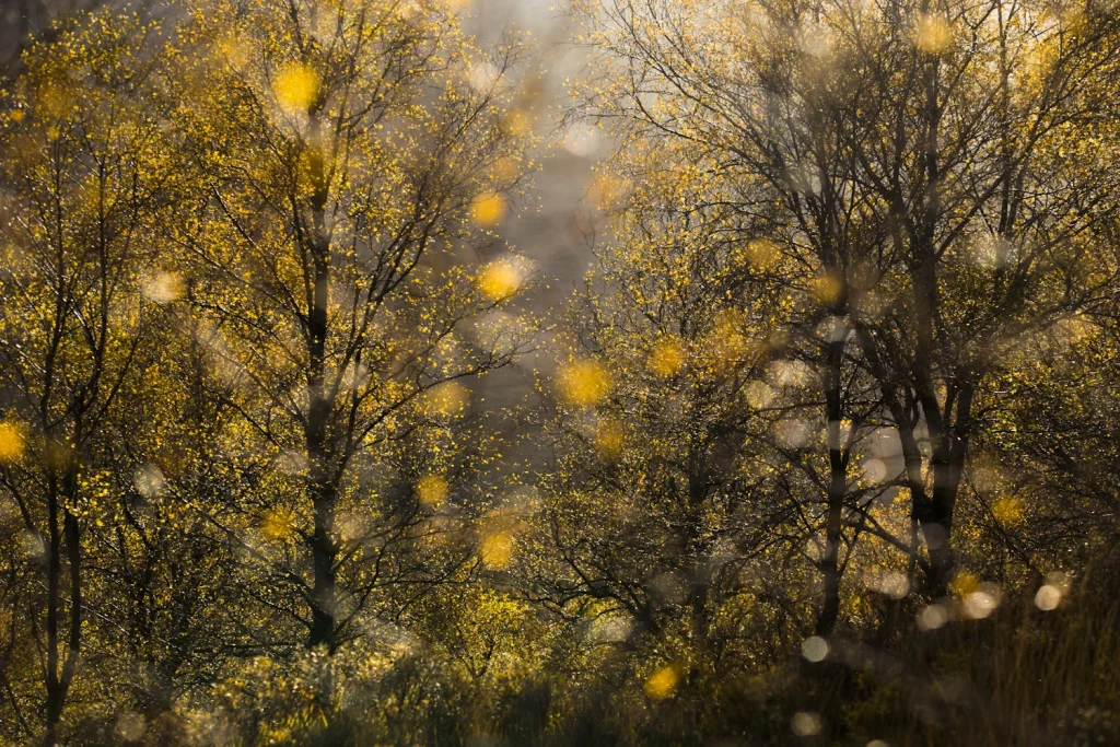 into-the-highlands-3358