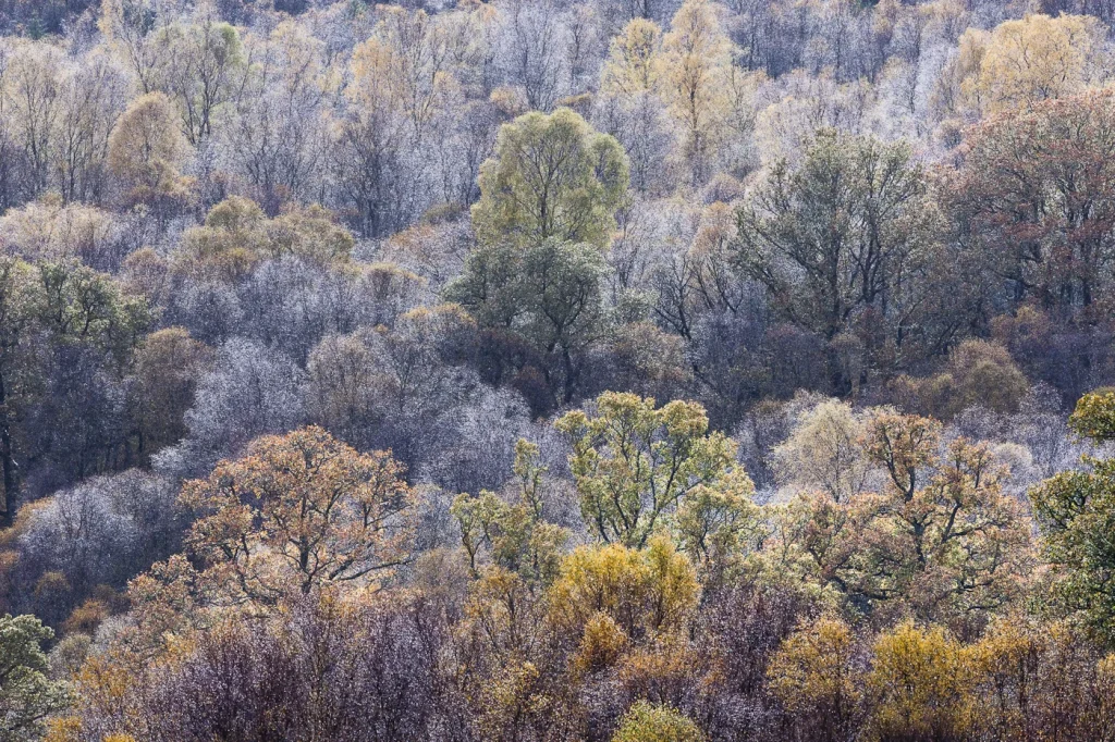 into-the-highlands-3375