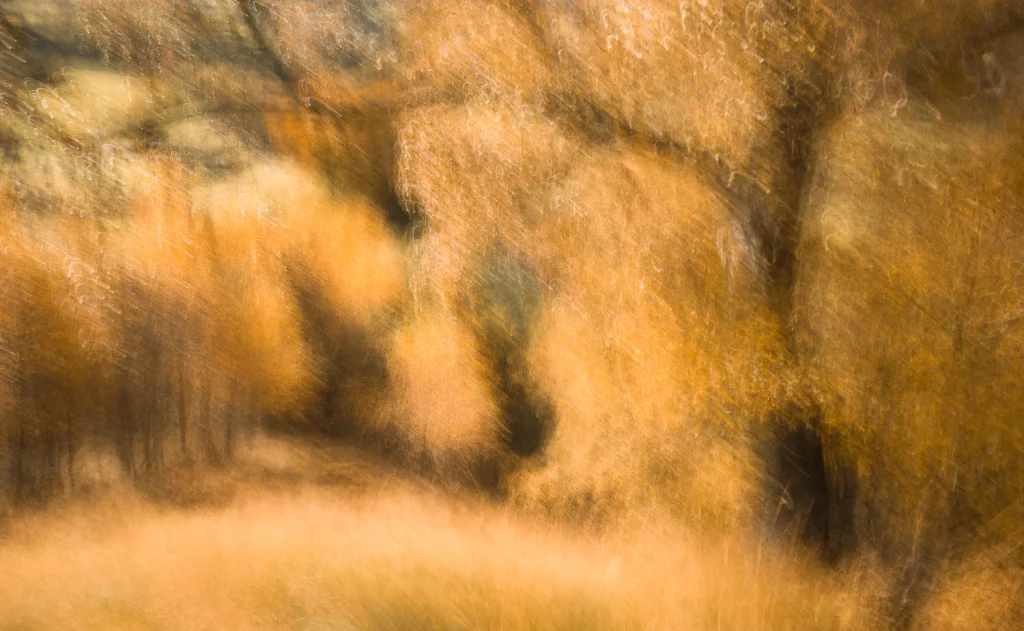 into-the-highlands-3397